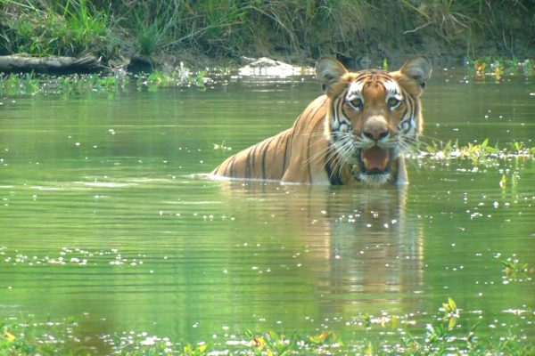 Chitwan National Park