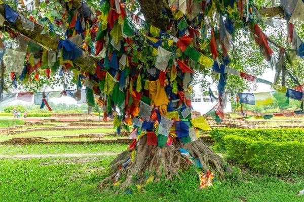 SACRED GARDEN