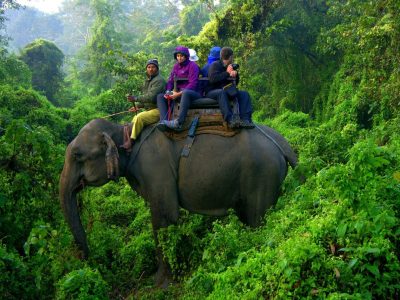 elephant ride